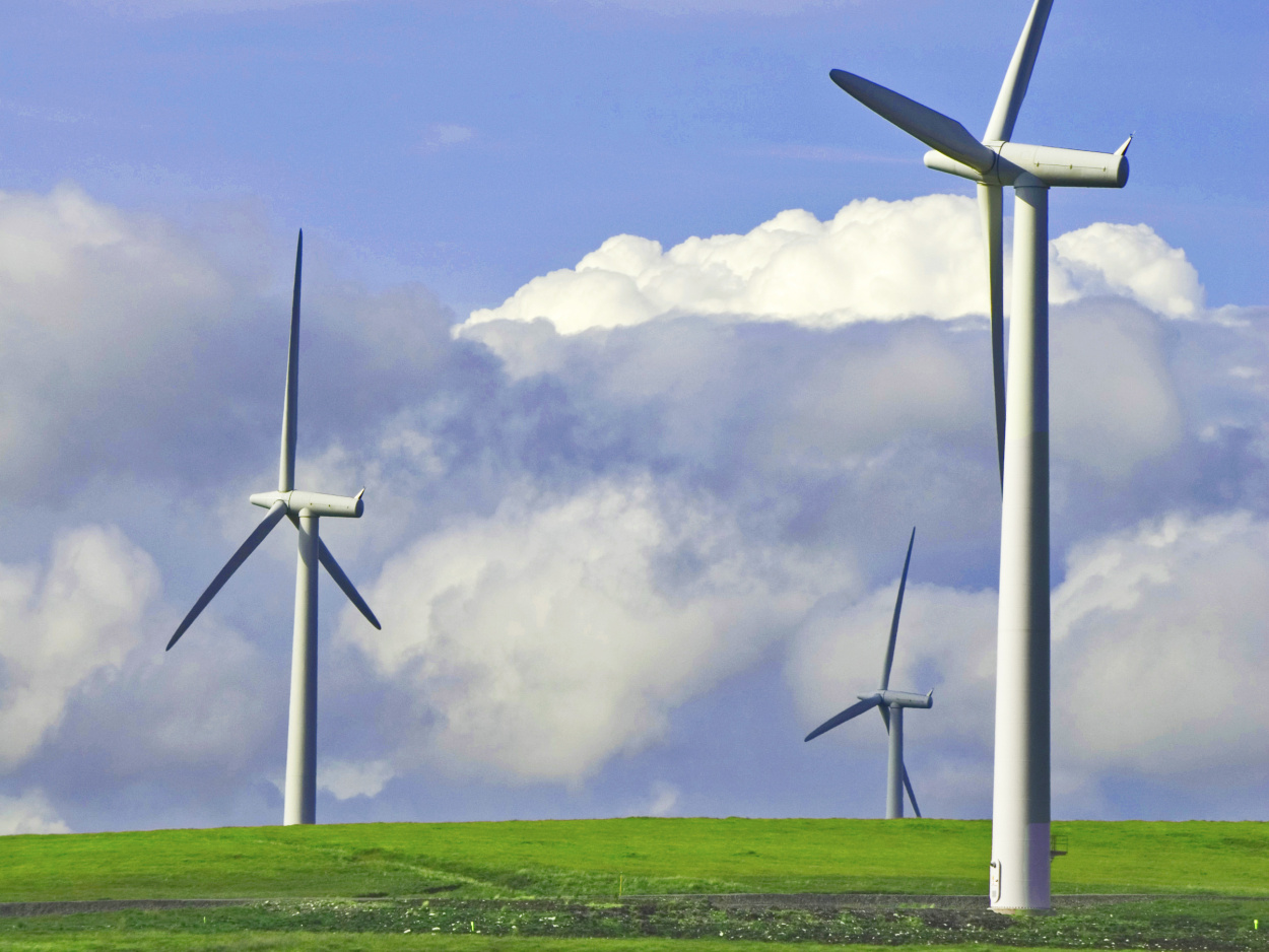 1077815_95871142 stock copy.jpg